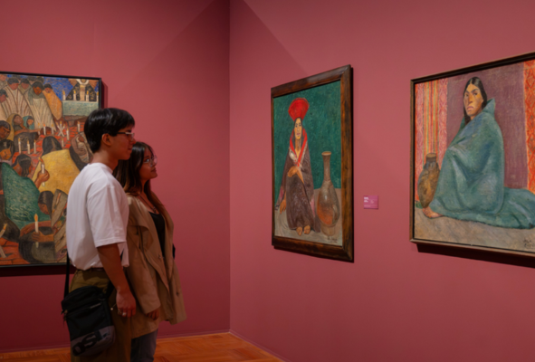 ¡Te invitamos a las visitas guiadas de la exposición Codesido en el MALI!