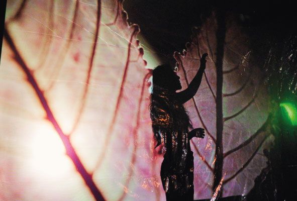 archivo-malva-expedicion-botanica-2-1