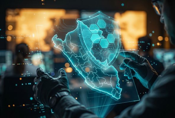 Concurso ProCiencia - Proyectos de investigación en seguridad ciudadana y lucha contra el crimen