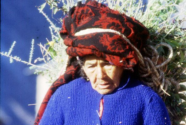 Cine CCPUCP | Festival Internacional de Cine Documental Lima Docs
