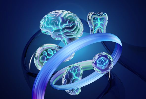 II Congreso de Investigación e Innovación en Enfermedades No Transmisibles