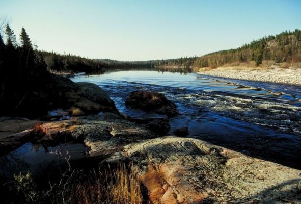 Seminario Internacional: Ética ambiental a través de textos rabínicos y judíos