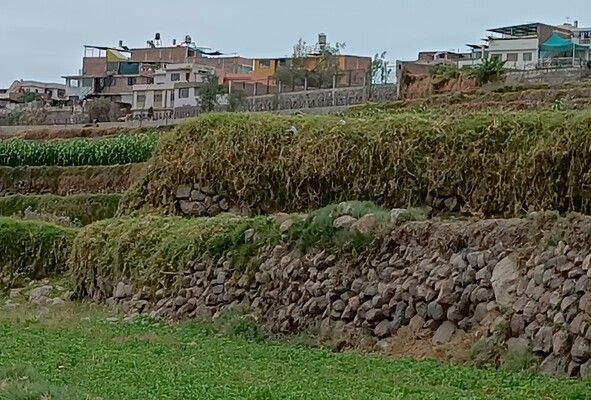 Participación Colaborativa en la Adaptación al Cambio Climático y Gestión de riesgos en Ecosistemas